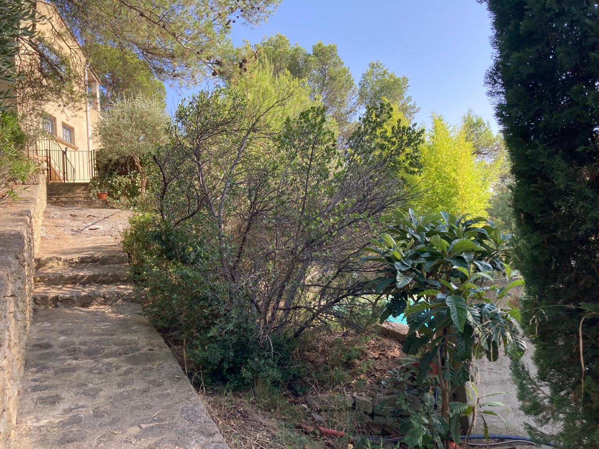 Le Gite Sous Les Pins Les Taillades Εξωτερικό φωτογραφία
